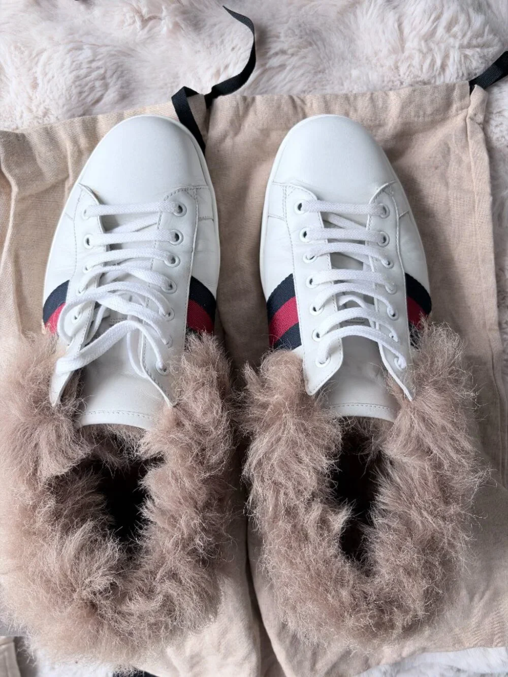 Gucci elegant sneakers